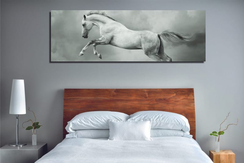 Koristeellinen Canvastaulu 30x80 cm, Monivärinen