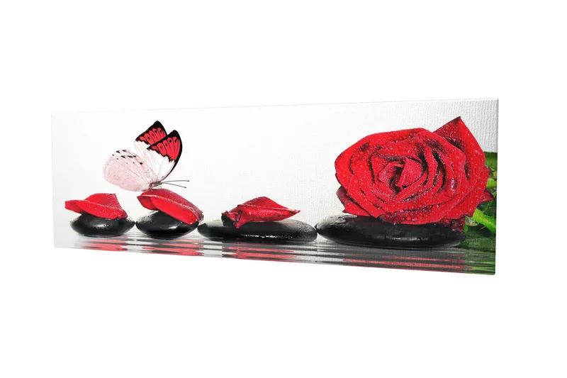 Koristeellinen Canvastaulu 30x80 cm, Monivärinen