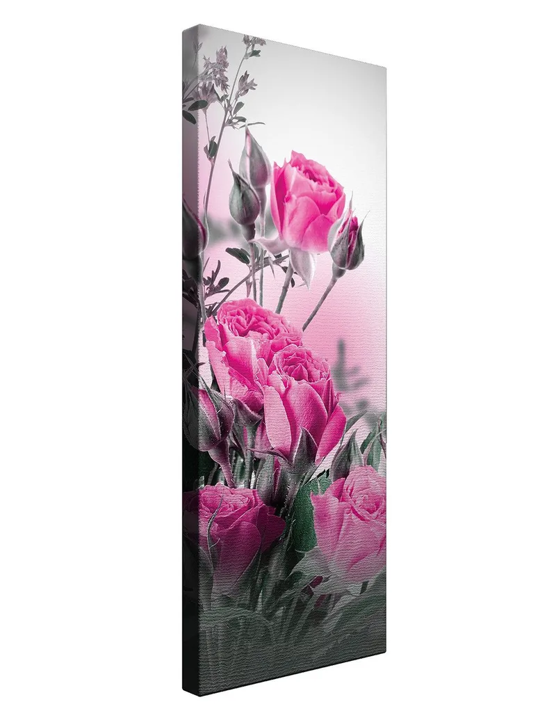 Koristeellinen Canvastaulu 30x80 cm - Monivärinen - Sisustustuotteet - Taulu & taide - Canvas-taulu