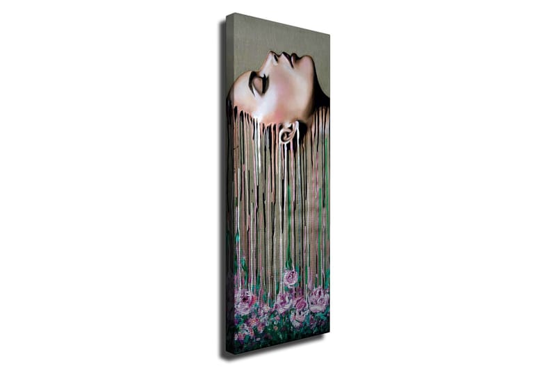 Koristeellinen Canvastaulu 30x80 cm, Monivärinen