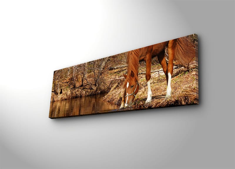 Koristeellinen Canvastaulu 30x90 cm - Monivärinen - Sisustustuotteet - Taulu & taide - Canvas-taulu