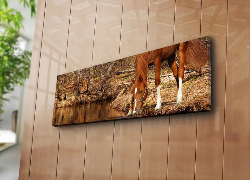 Koristeellinen Canvastaulu 30x90 cm - Monivärinen - Sisustustuotteet - Taulu & taide - Canvas-taulu