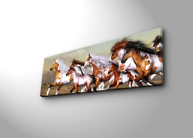 Koristeellinen Canvastaulu 30x90 cm - Monivärinen - Sisustustuotteet - Taulu & taide - Canvas-taulu