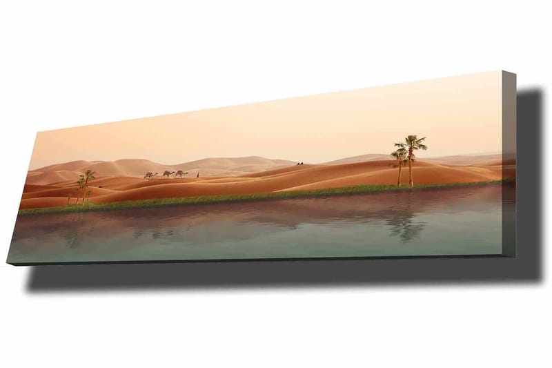 Koristeellinen Canvastaulu 30x90 cm - Monivärinen - Sisustustuotteet - Taulu & taide - Canvas-taulu