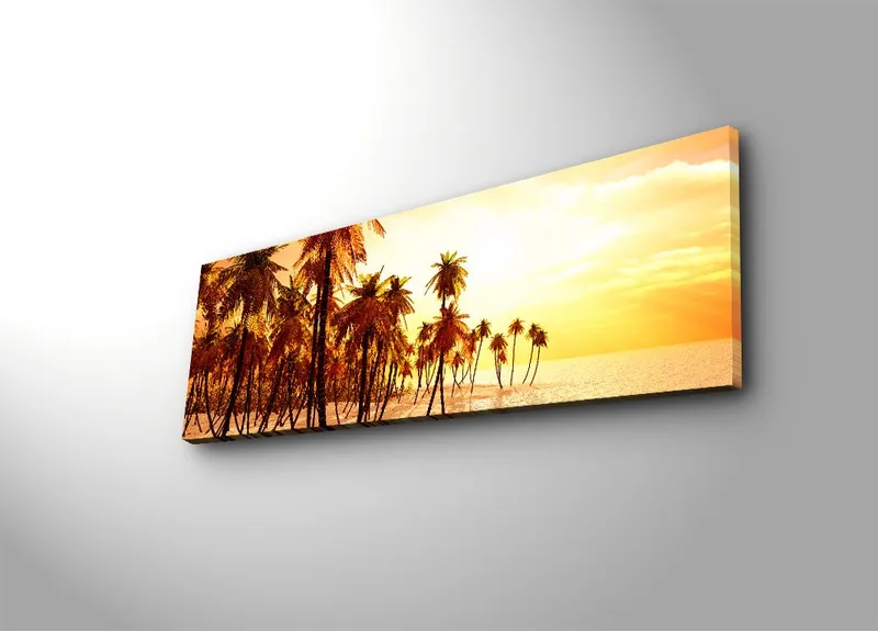 Koristeellinen Canvastaulu 30x90 cm, Monivärinen