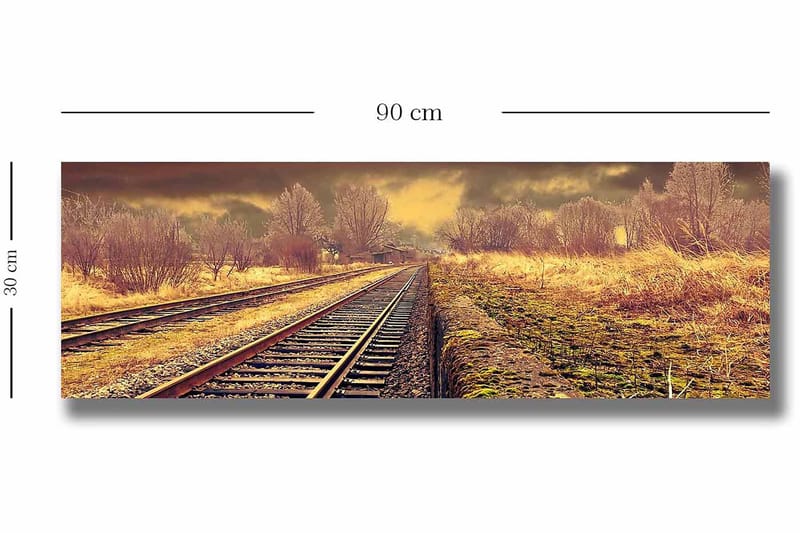 Koristeellinen Canvastaulu 30x90 cm - Monivärinen - Sisustustuotteet - Taulu & taide - Canvas-taulu