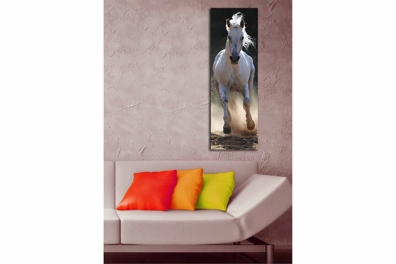 Koristeellinen Canvastaulu 30x90 cm - Monivärinen - Sisustustuotteet - Taulu & taide - Canvas-taulu