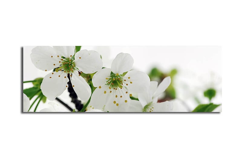 Koristeellinen Canvastaulu 30x90 cm, Monivärinen