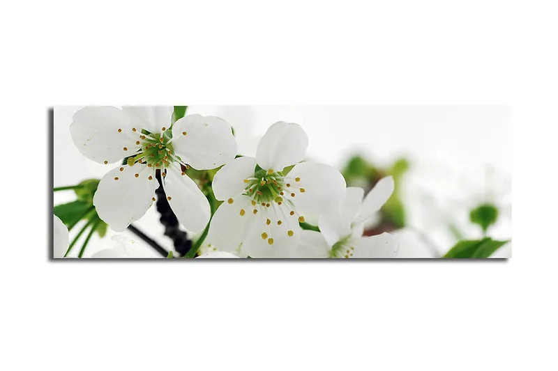 Koristeellinen Canvastaulu 30x90 cm, Monivärinen