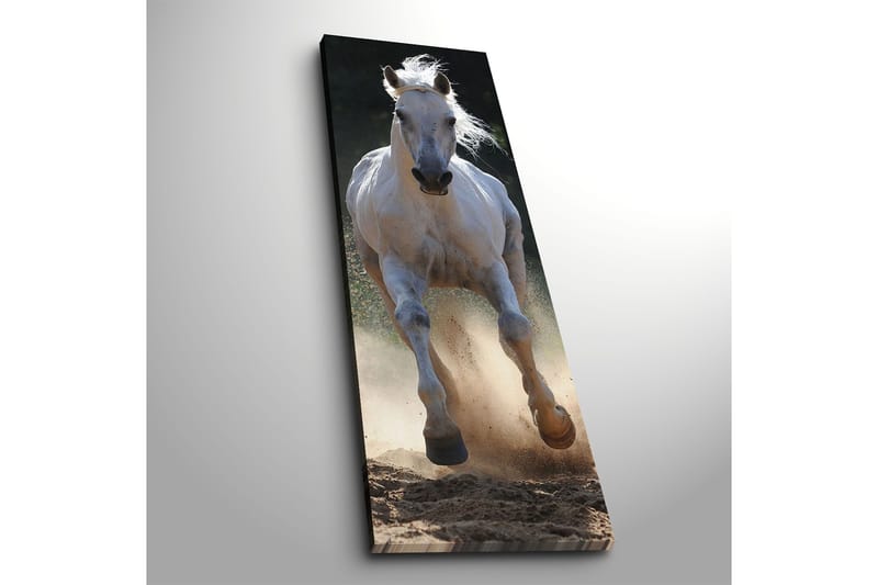 Koristeellinen Canvastaulu 30x90 cm - Monivärinen - Sisustustuotteet - Taulu & taide - Canvas-taulu