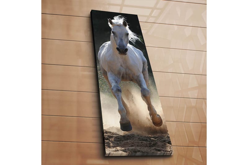 Koristeellinen Canvastaulu 30x90 cm - Monivärinen - Sisustustuotteet - Taulu & taide - Canvas-taulu