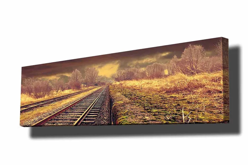 Koristeellinen Canvastaulu 30x90 cm, Monivärinen