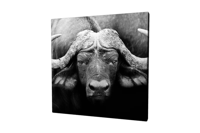Koristeellinen Canvastaulu 45x45 cm - Monivärinen - Sisustustuotteet - Taulu & taide - Canvas-taulu