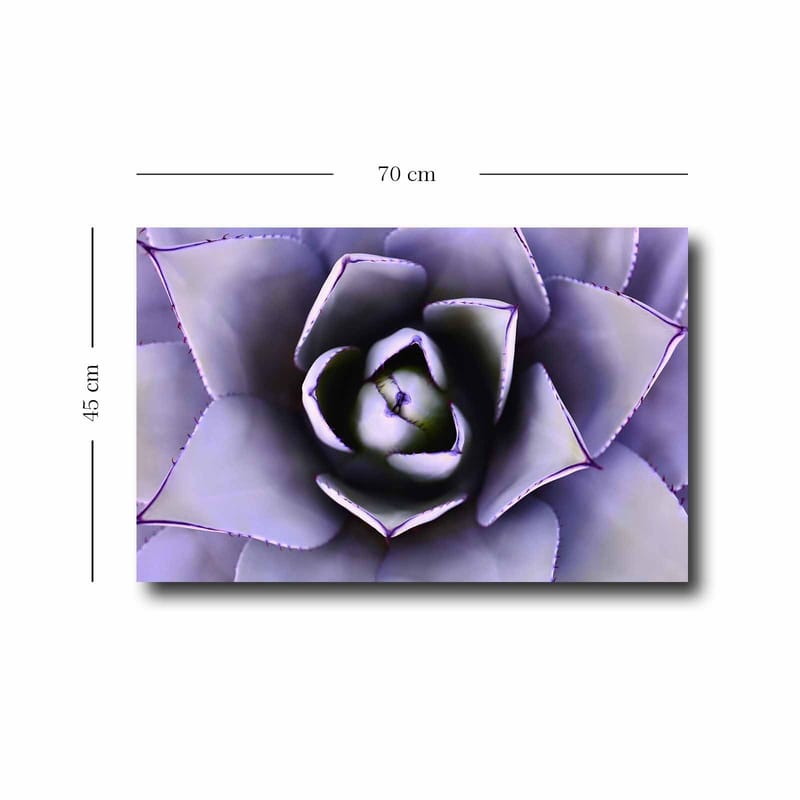 Koristeellinen Canvastaulu 45x70 cm - Monivärinen - Sisustustuotteet - Taulu & taide - Canvas-taulu