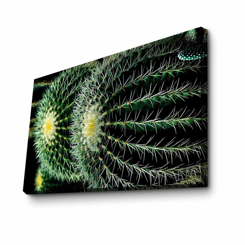 Koristeellinen Canvastaulu 45x70 cm - Monivärinen - Sisustustuotteet - Taulu & taide - Canvas-taulu