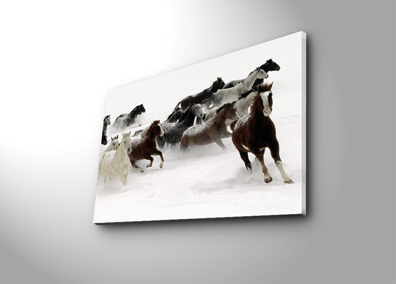 Koristeellinen Canvastaulu 45x70 cm - Monivärinen - Sisustustuotteet - Taulu & taide - Canvas-taulu