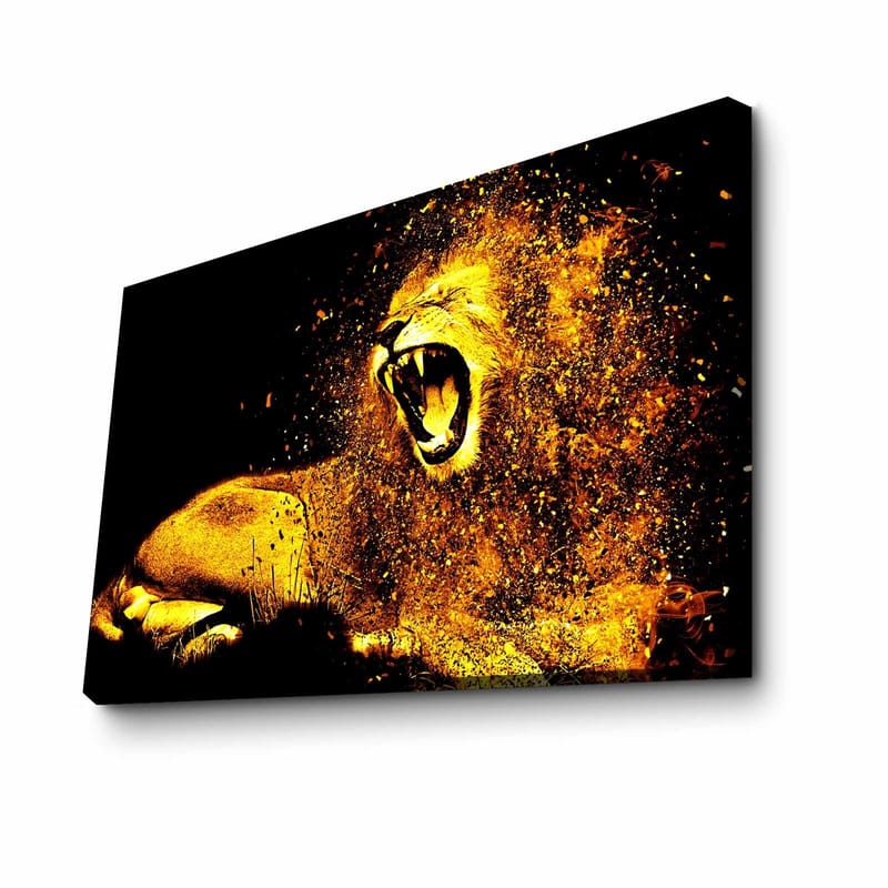 Koristeellinen Canvastaulu 45x70 cm - Monivärinen - Sisustustuotteet - Taulu & taide - Canvas-taulu