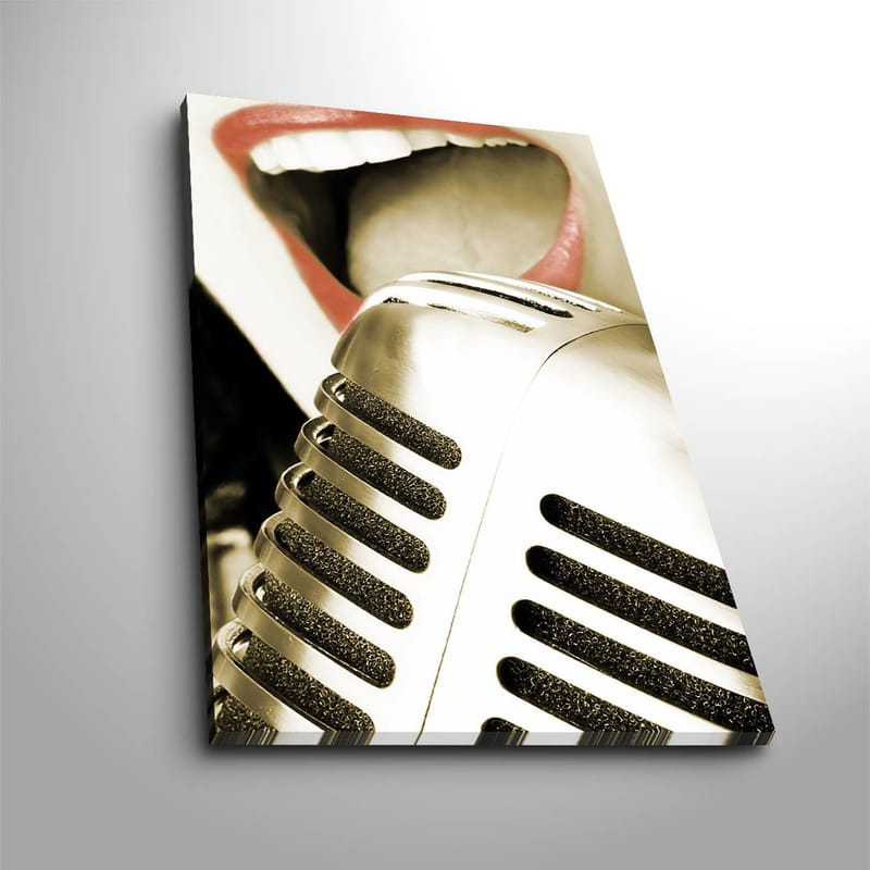 Koristeellinen Canvastaulu 45x70 cm, Monivärinen