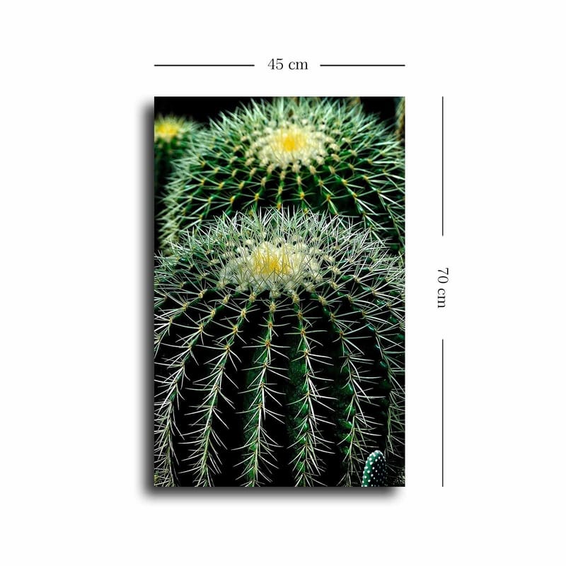 Koristeellinen Canvastaulu 45x70 cm - Monivärinen - Sisustustuotteet - Taulu & taide - Canvas-taulu