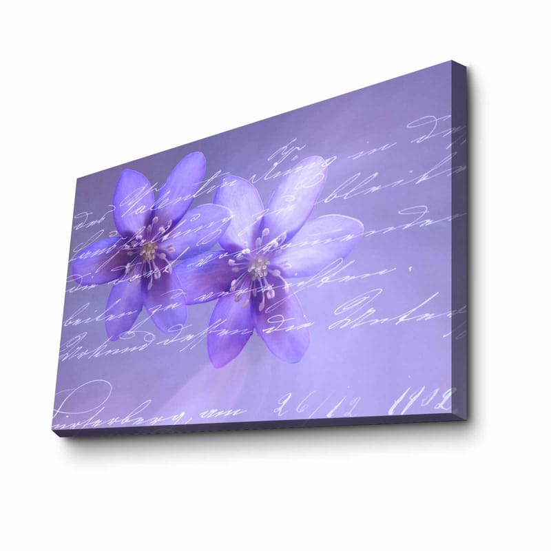 Koristeellinen Canvastaulu 45x70 cm, Monivärinen