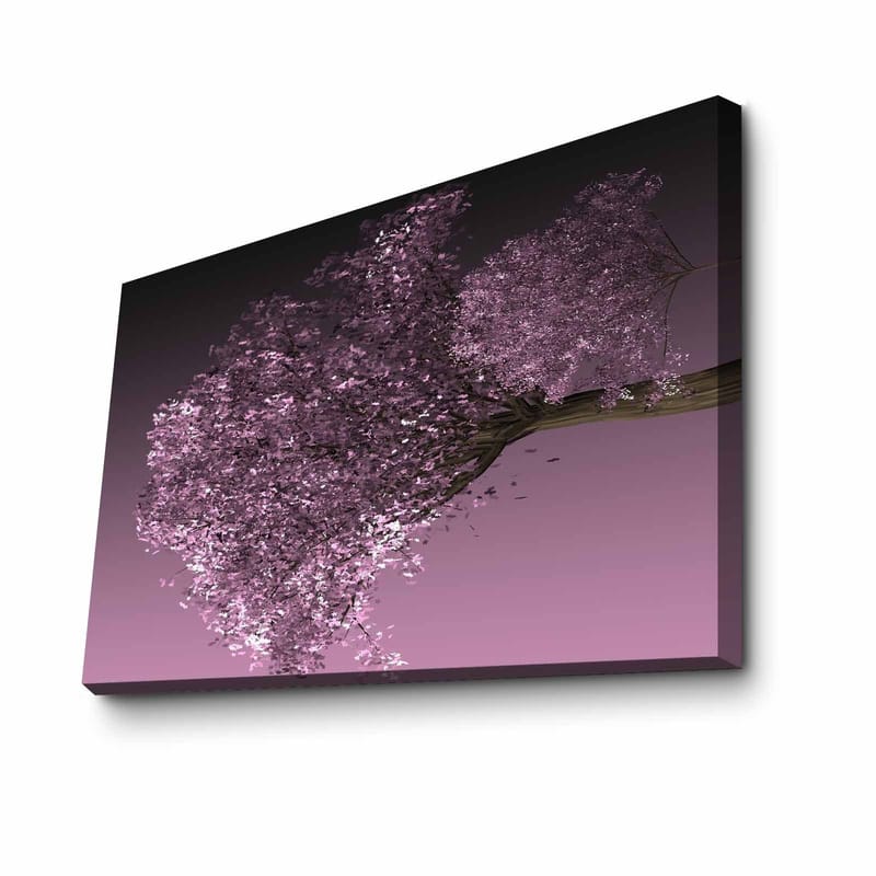 Koristeellinen Canvastaulu 45x70 cm, Monivärinen