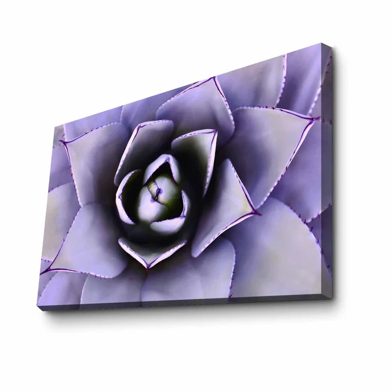 Koristeellinen Canvastaulu 45x70 cm, Monivärinen