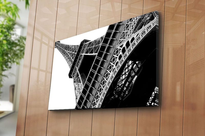 Koristeellinen Canvastaulu 45x70 cm, Monivärinen