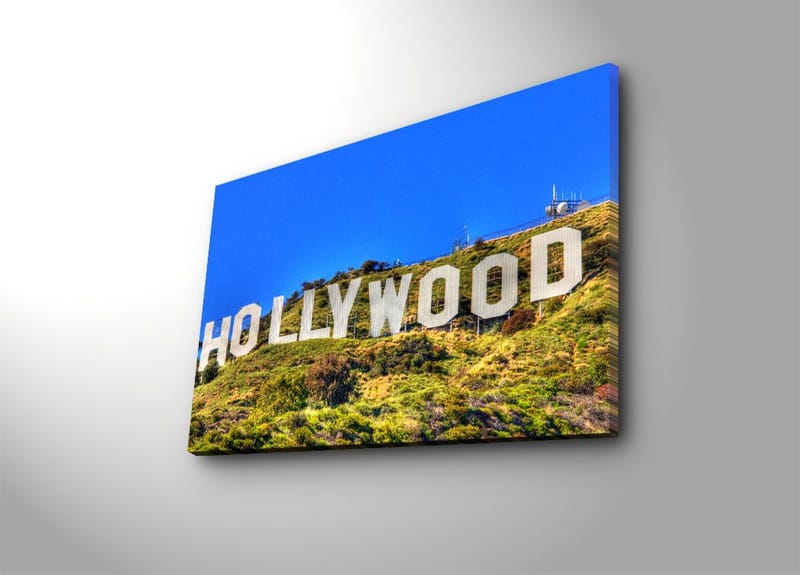 Koristeellinen Canvastaulu 45x70 cm, Monivärinen