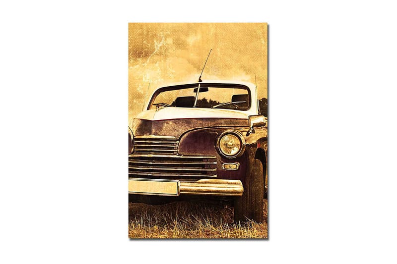 Koristeellinen Canvastaulu 45x70 cm, Monivärinen