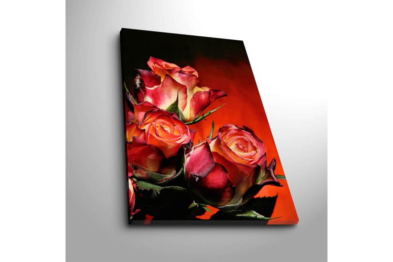 Koristeellinen Canvastaulu 45x70 cm - Monivärinen - Sisustustuotteet - Taulu & taide - Canvas-taulu