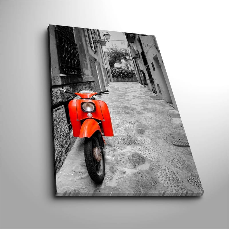 Koristeellinen Canvastaulu 45x70 cm, Monivärinen