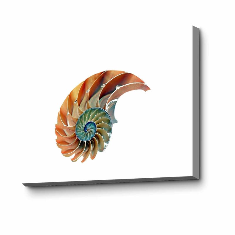 Koristeellinen Canvastaulu 45x70 cm, Monivärinen