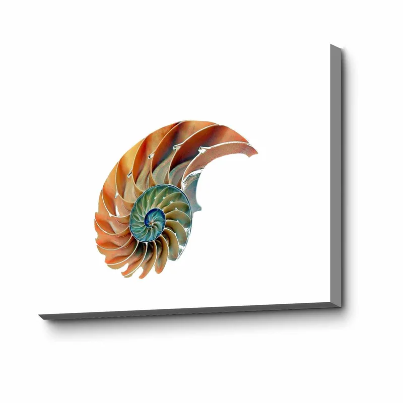 Koristeellinen Canvastaulu 45x70 cm, Monivärinen