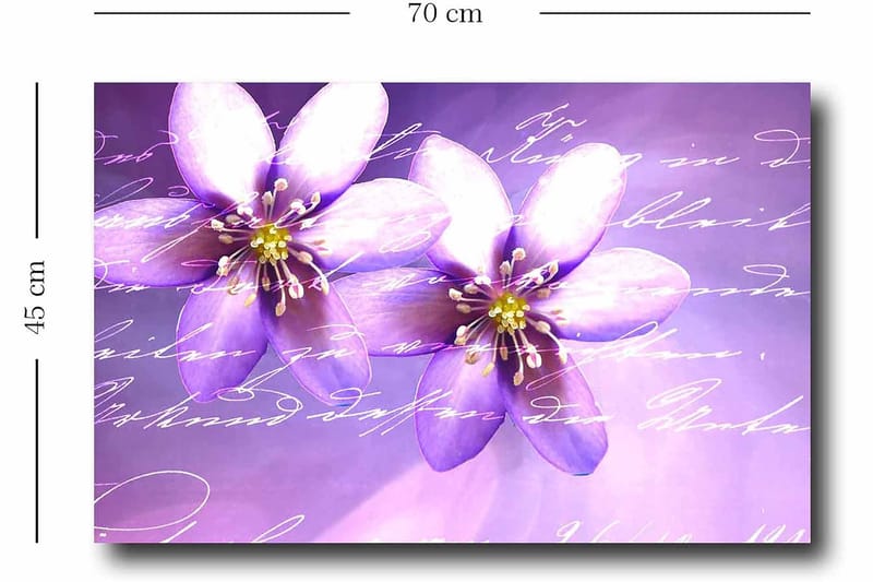 Koristeellinen Canvastaulu 45x70 cm - Monivärinen - Sisustustuotteet - Taulu & taide - Canvas-taulu