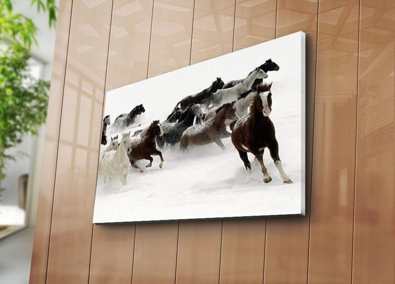 Koristeellinen Canvastaulu 45x70 cm - Monivärinen - Sisustustuotteet - Taulu & taide - Canvas-taulu