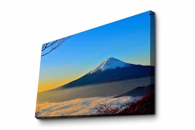 Koristeellinen Canvastaulu 45x70 cm, Monivärinen