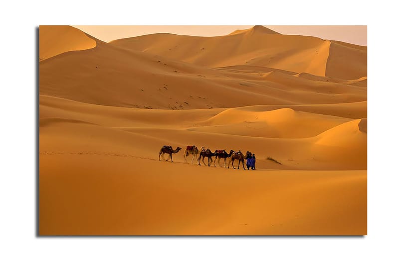 Koristeellinen Canvastaulu 45x70 cm, Monivärinen