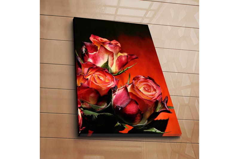 Koristeellinen Canvastaulu 45x70 cm - Monivärinen - Sisustustuotteet - Taulu & taide - Canvas-taulu