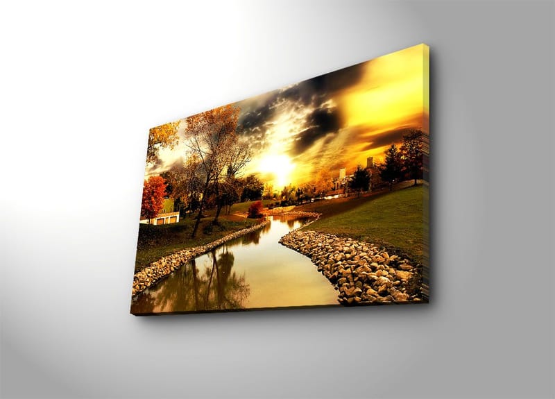 Koristeellinen Canvastaulu 45x70 cm, Monivärinen