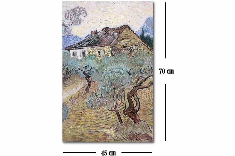 Koristeellinen Canvastaulu 45x70 cm - Monivärinen - Sisustustuotteet - Taulu & taide - Canvas-taulu