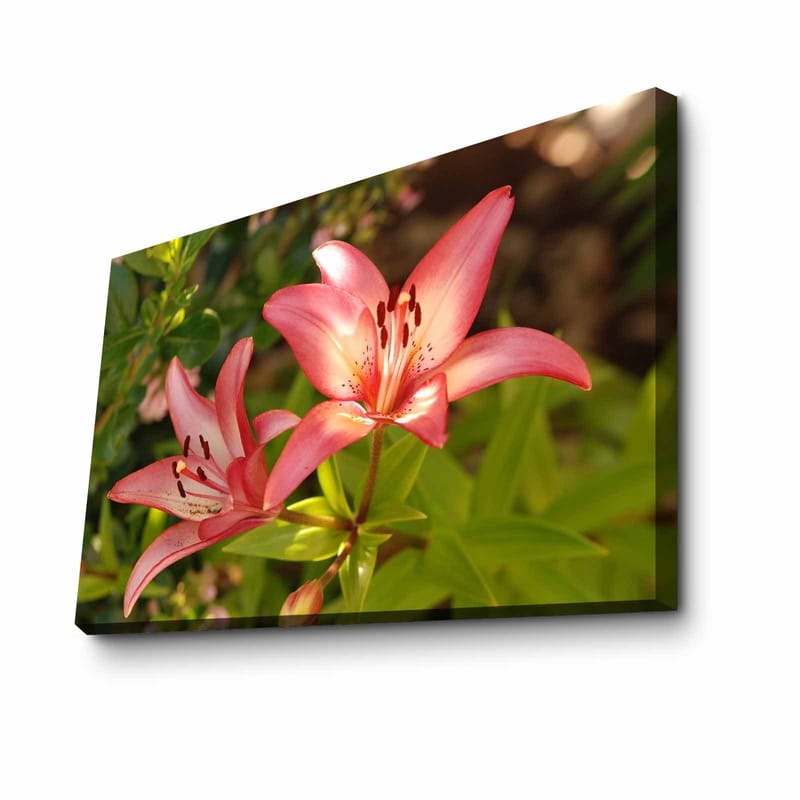 Koristeellinen Canvastaulu 45x70 cm, Monivärinen