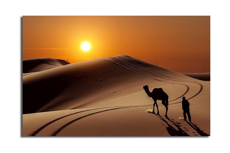 Koristeellinen Canvastaulu 45x70 cm, Monivärinen