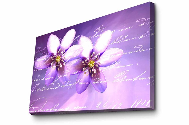 Koristeellinen Canvastaulu 45x70 cm - Monivärinen - Sisustustuotteet - Taulu & taide - Canvas-taulu