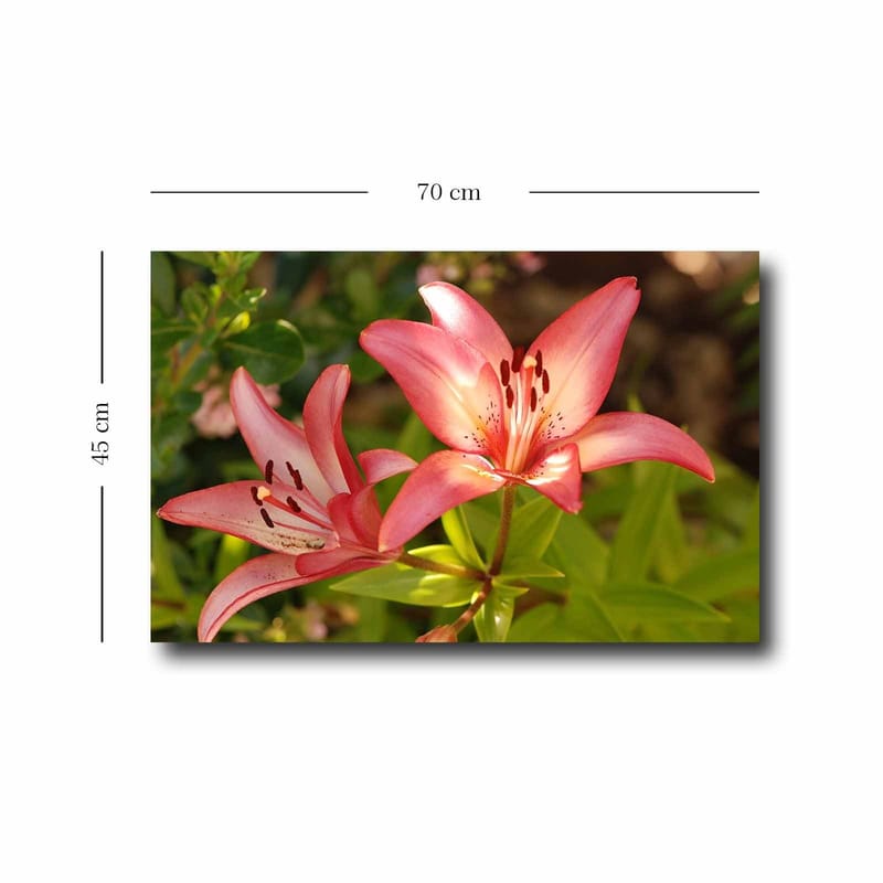 Koristeellinen Canvastaulu 45x70 cm - Monivärinen - Sisustustuotteet - Taulu & taide - Canvas-taulu