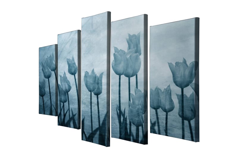 Koristeellinen Canvastaulu 5-os 70x20 cm - Monivärinen - Sisustustuotteet - Taulu & taide - Canvas-taulu