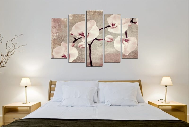 Koristeellinen Canvastaulu 5-os 70x20 cm, Monivärinen