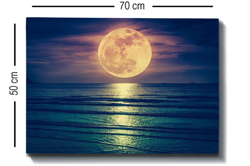 Koristeellinen Canvastaulu 50x70 cm - Monivärinen - Sisustustuotteet - Taulu & taide - Canvas-taulu