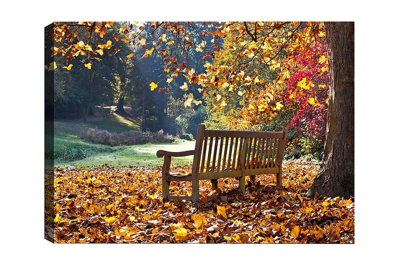 Koristeellinen Canvastaulu 50x70 cm, Monivärinen