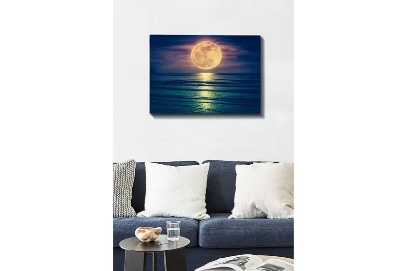 Koristeellinen Canvastaulu 50x70 cm, Monivärinen