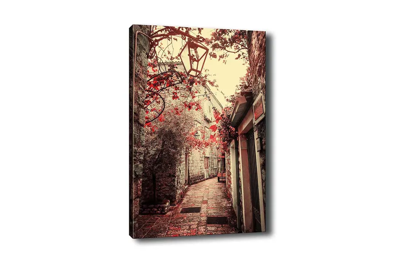 Koristeellinen Canvastaulu 50x70 cm, Monivärinen